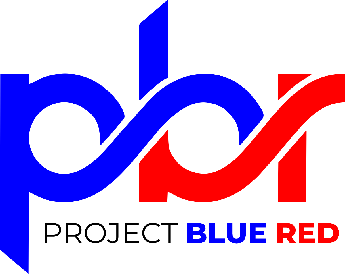 Project Blue Red - Revolutionizing Professional Services